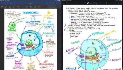 Top 10 of Interesting Facts About Notability